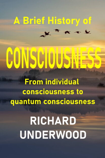 A Brief History of Consciousness Book Cover